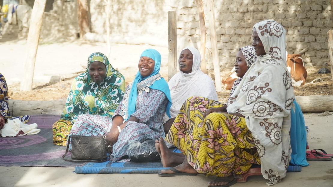 In Mali, HI helps poor households to meet their own needs
