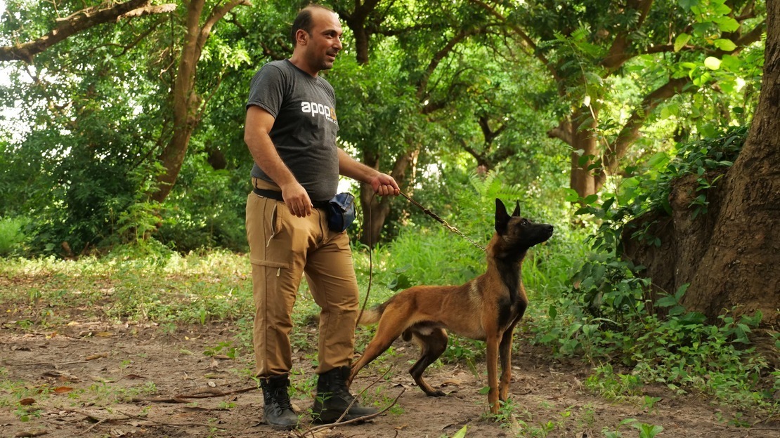 Kira, Storm, Fisti and Tini: meet our new demining colleagues in Senegal