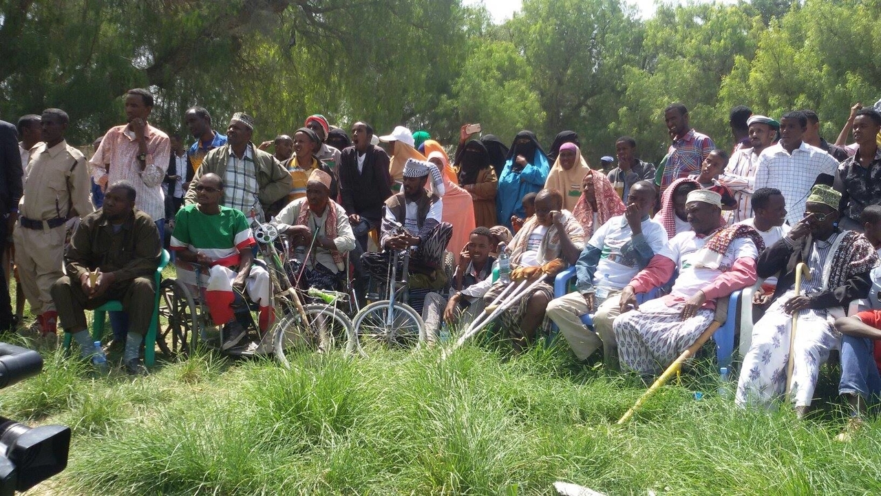 Somaliland elections: enforcing the right to vote for people with disabilities 