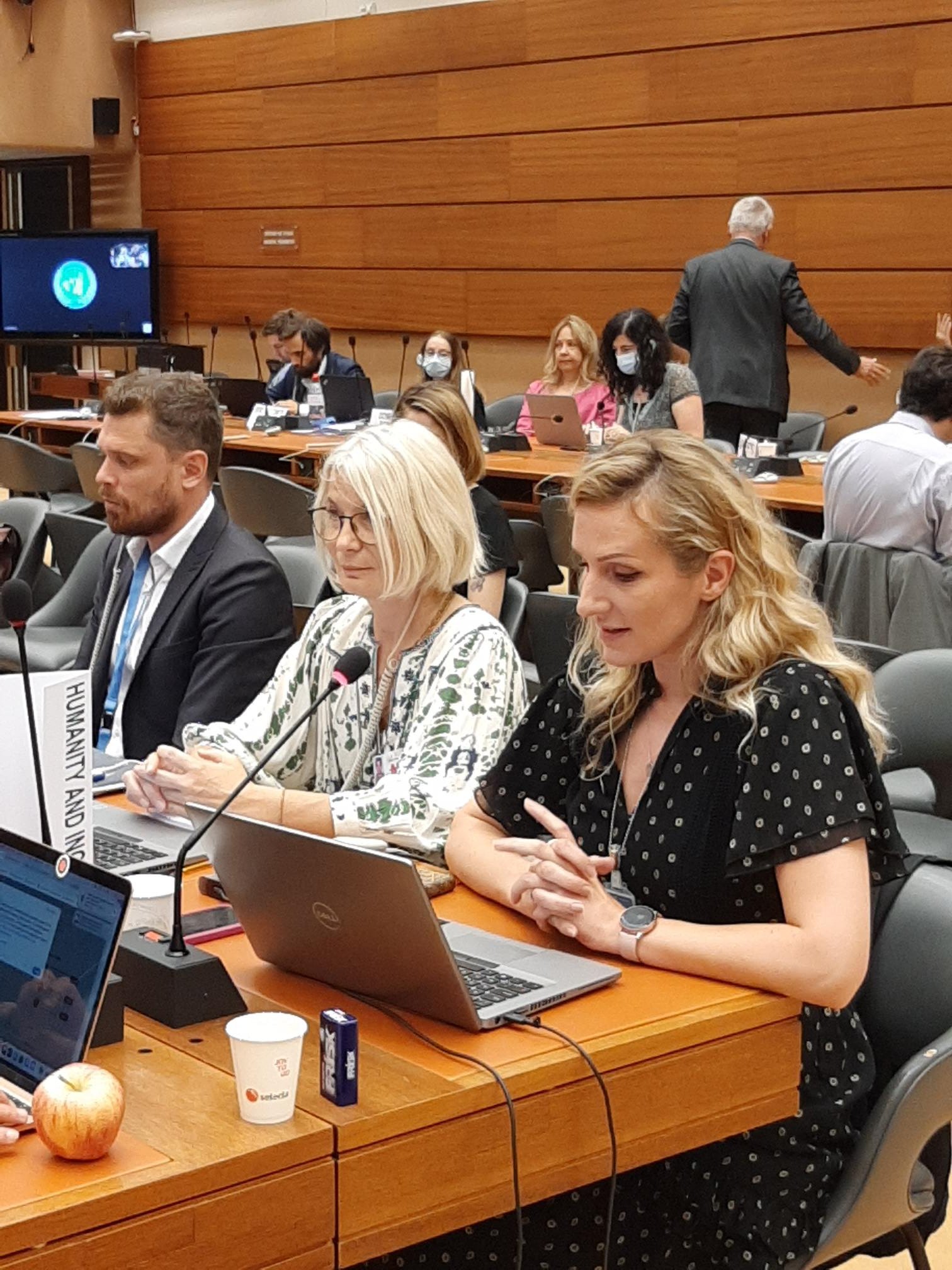 Conference for the final presentation of the text of the international agreement on explosive weapons in populated areas in June 2022. 