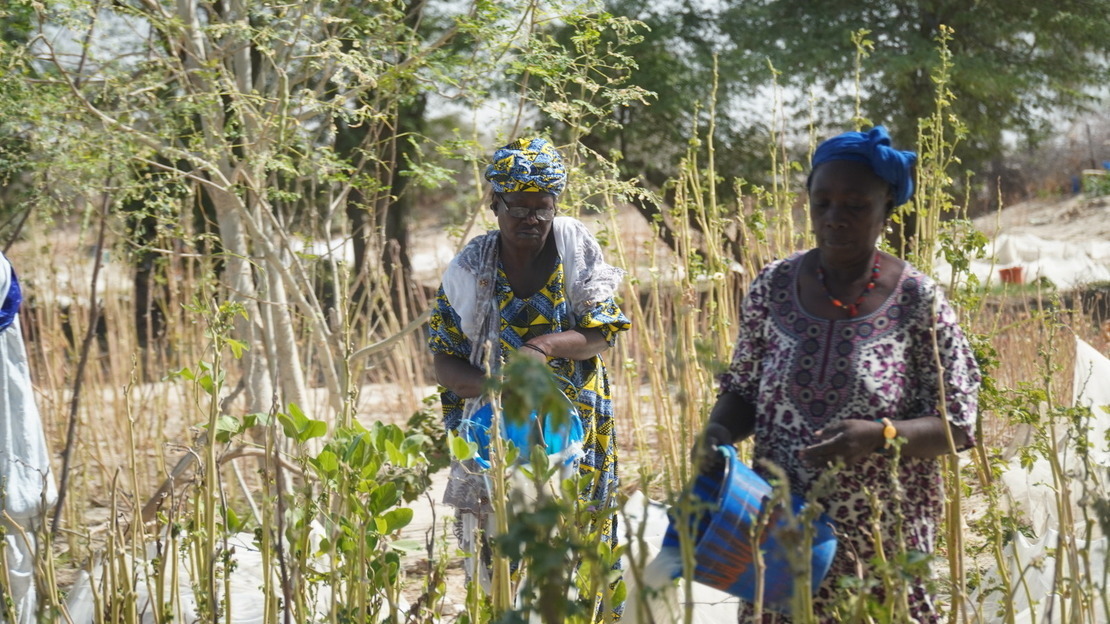 Kadia (left), watering her garden with another farmer (right).