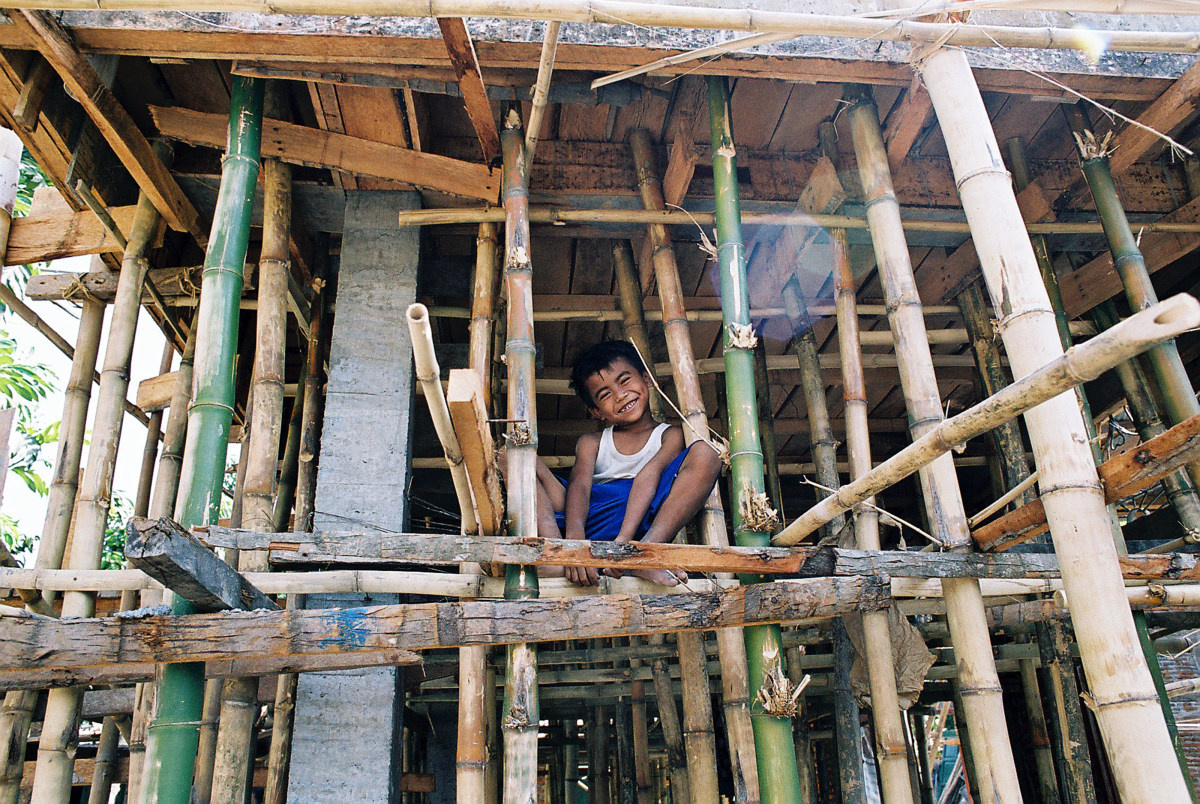 3 things you should know about... Bamboo!