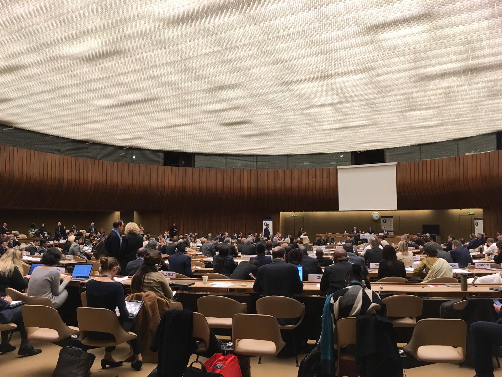 Conference of States Parties to the Ottawa Mine Ban Treaty - November 2018 in Geneva
