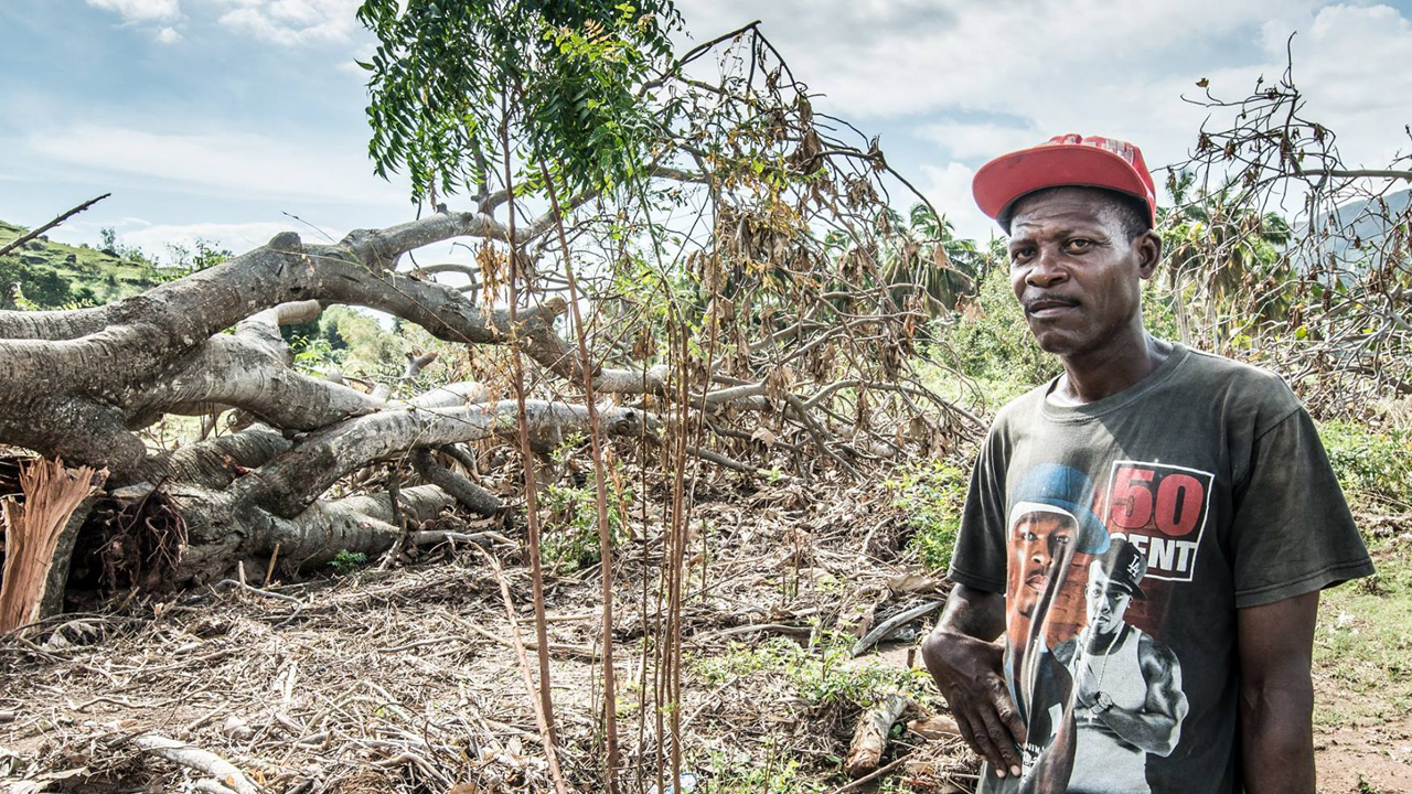 The villages of Saint-Louis-du-Sud and Cavaillon, near Les Cayes (the main city of sud province) have lost their harvests. Jean-Claude has lost his entire manioc crop.; }}
