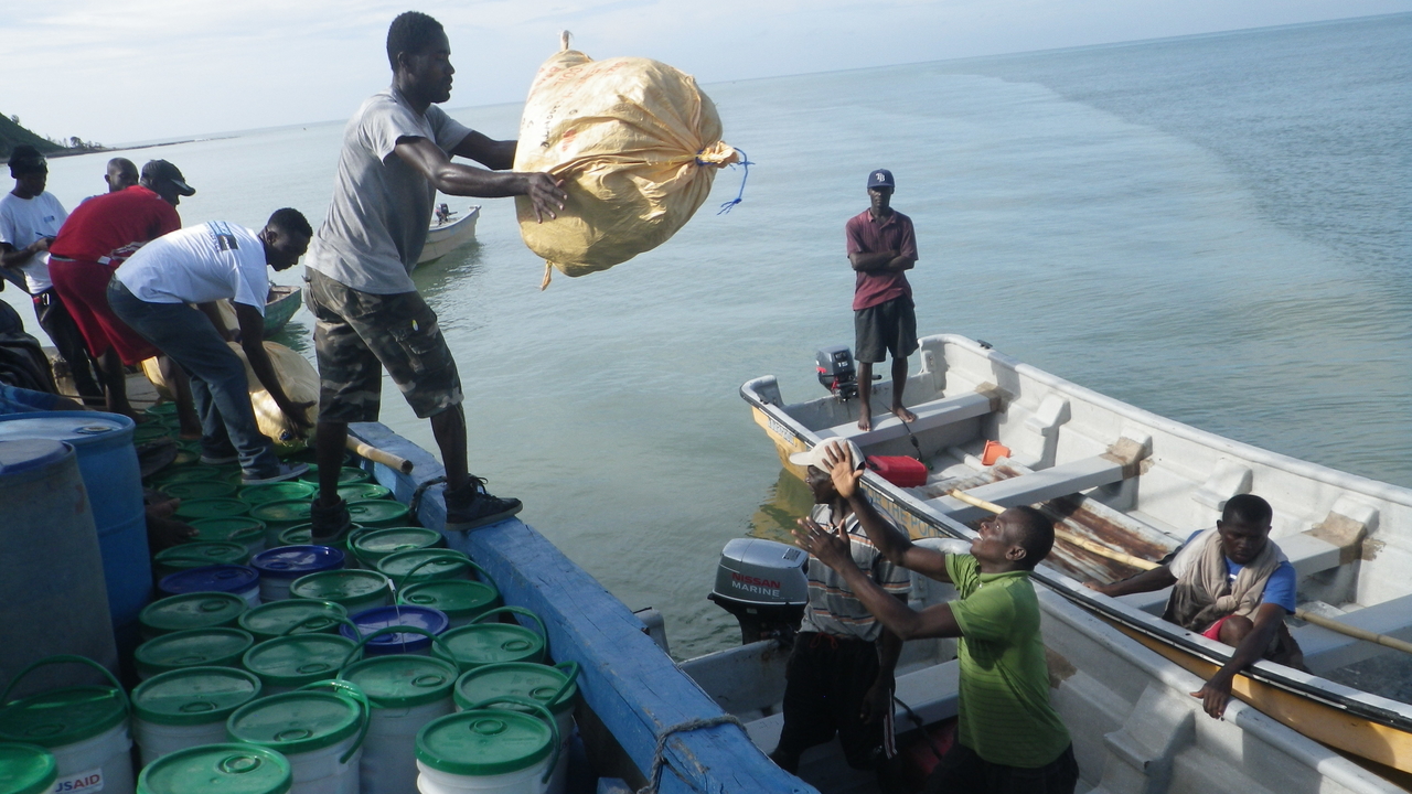 First transport by sea organised at the end of October via the logistics platform set up by Handicap International.; }}