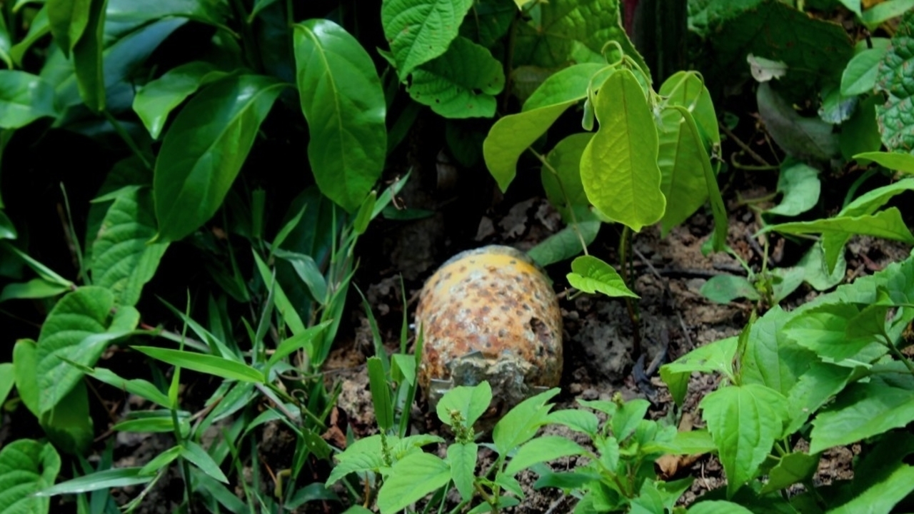 A sub-munition found by Handicap International’s teams in Laos.; }}