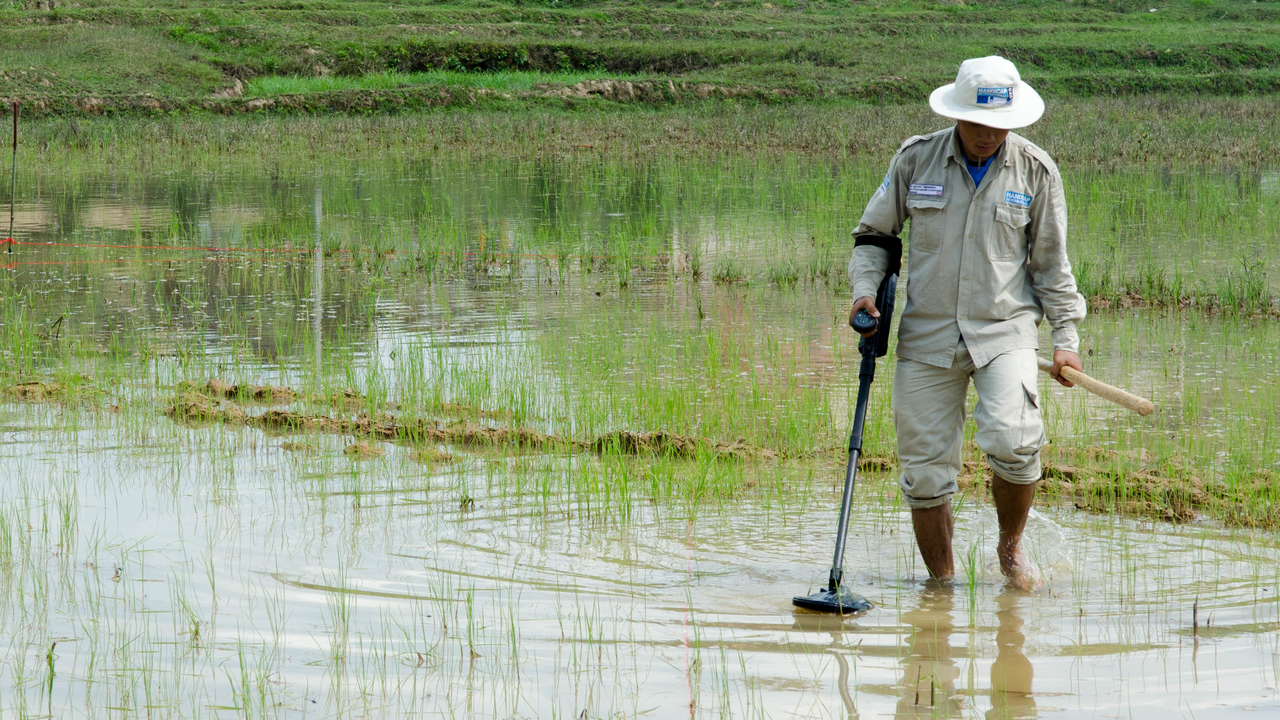 A deminer from Handicap International's team searching for cluster bombs in a rice field.; }}