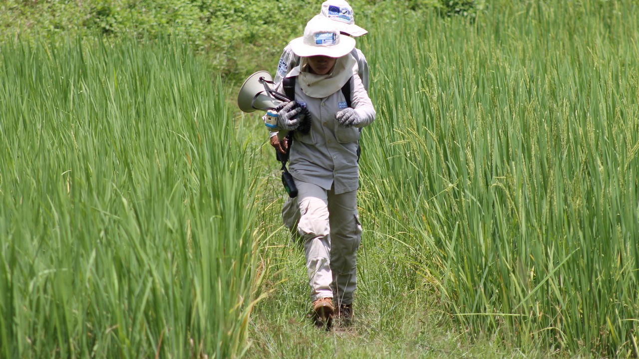 A Handicap International deminer in Laos; }}