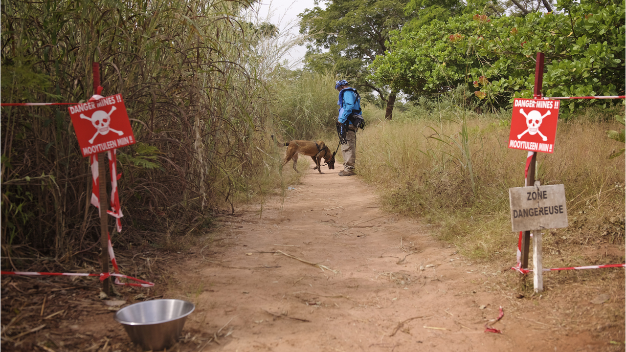  Jonathan Matambo, dog handler and deminer and Katja, mine detection dog in Diagnon.; }}