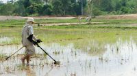 Handicap International deminers search for cluster bombs in a rice paddy, Laos.